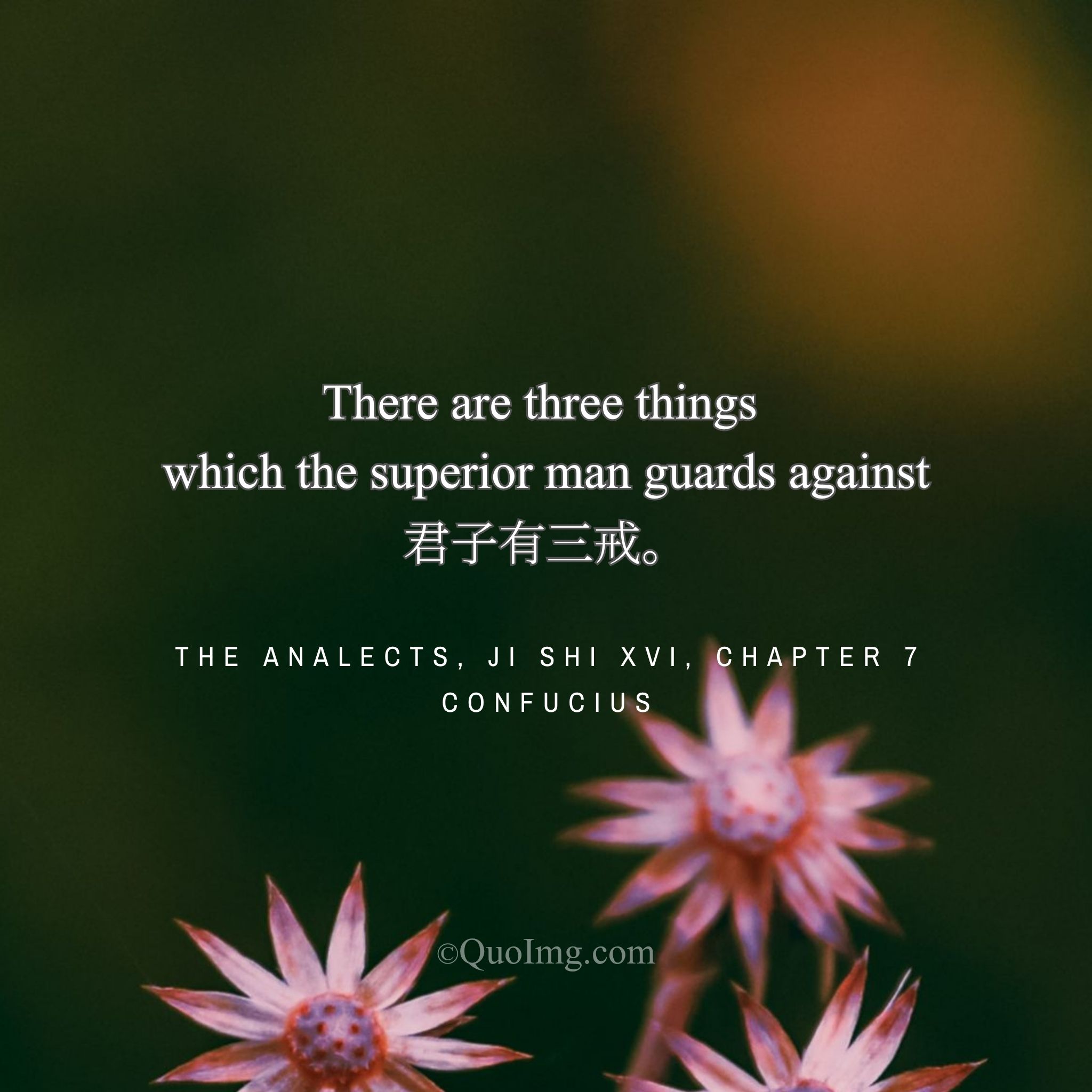 Confucius began: “There are three things against which the gentleman is on guard.”