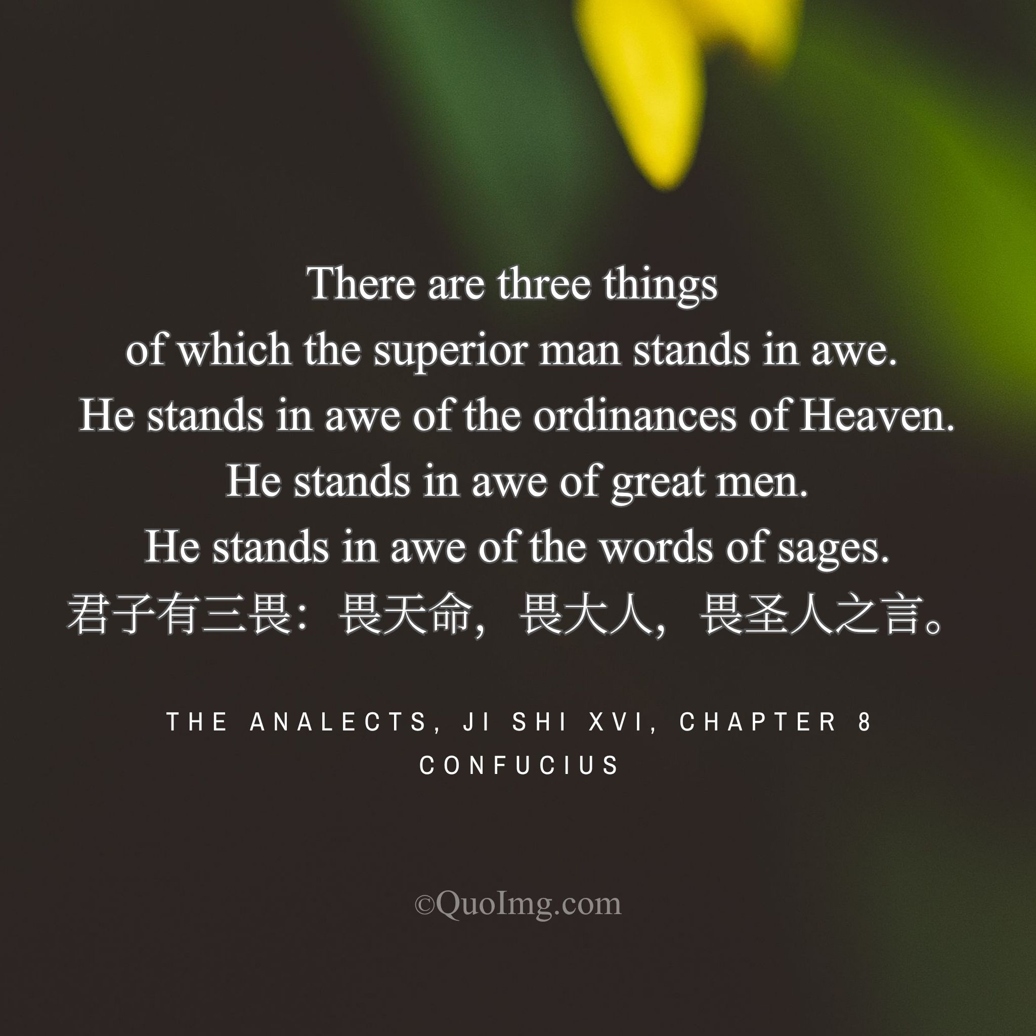Confucius said: “The superior man stands in awe of Heaven’s Mandate, of great men, and of the sages’ words.”