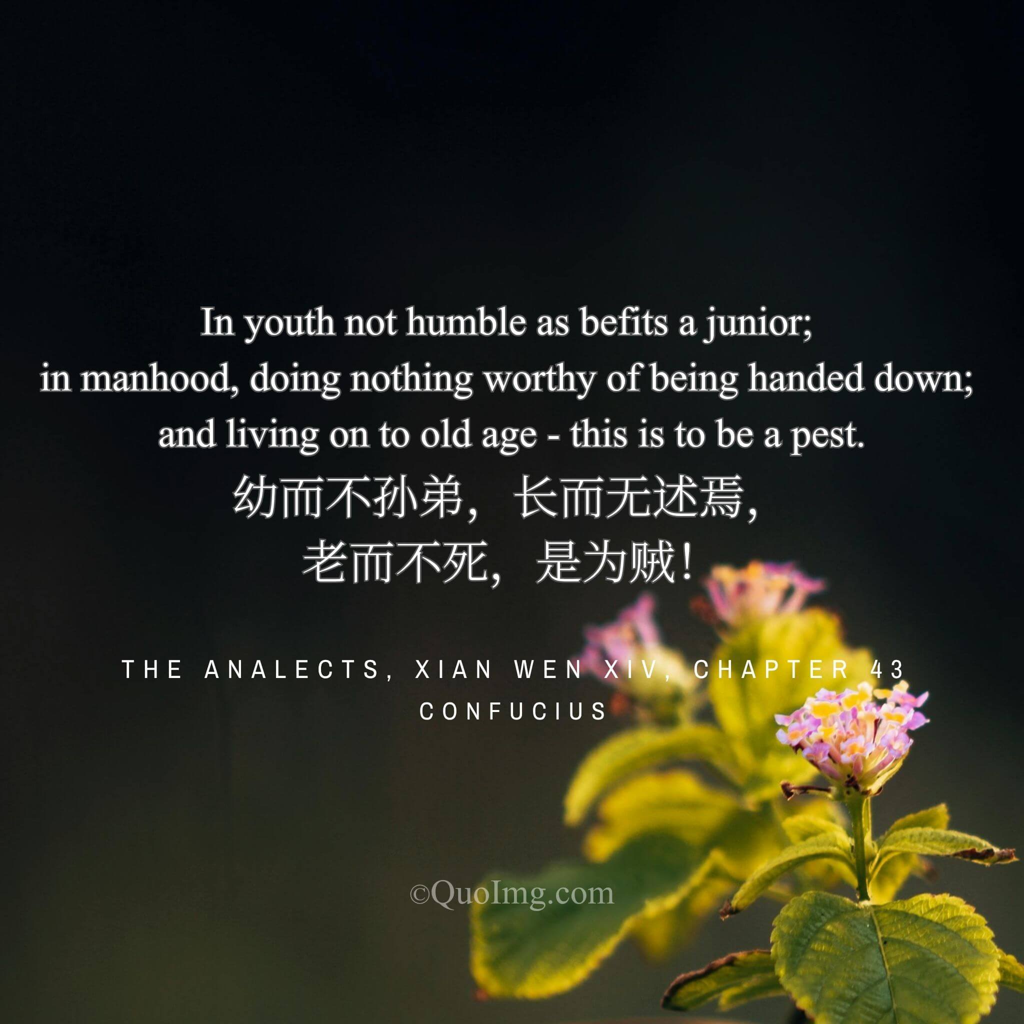Confucius rebuked an old acquaintance: “A pest is one who is disrespectful in youth, achieves nothing in adulthood, and yet lives to old age!”