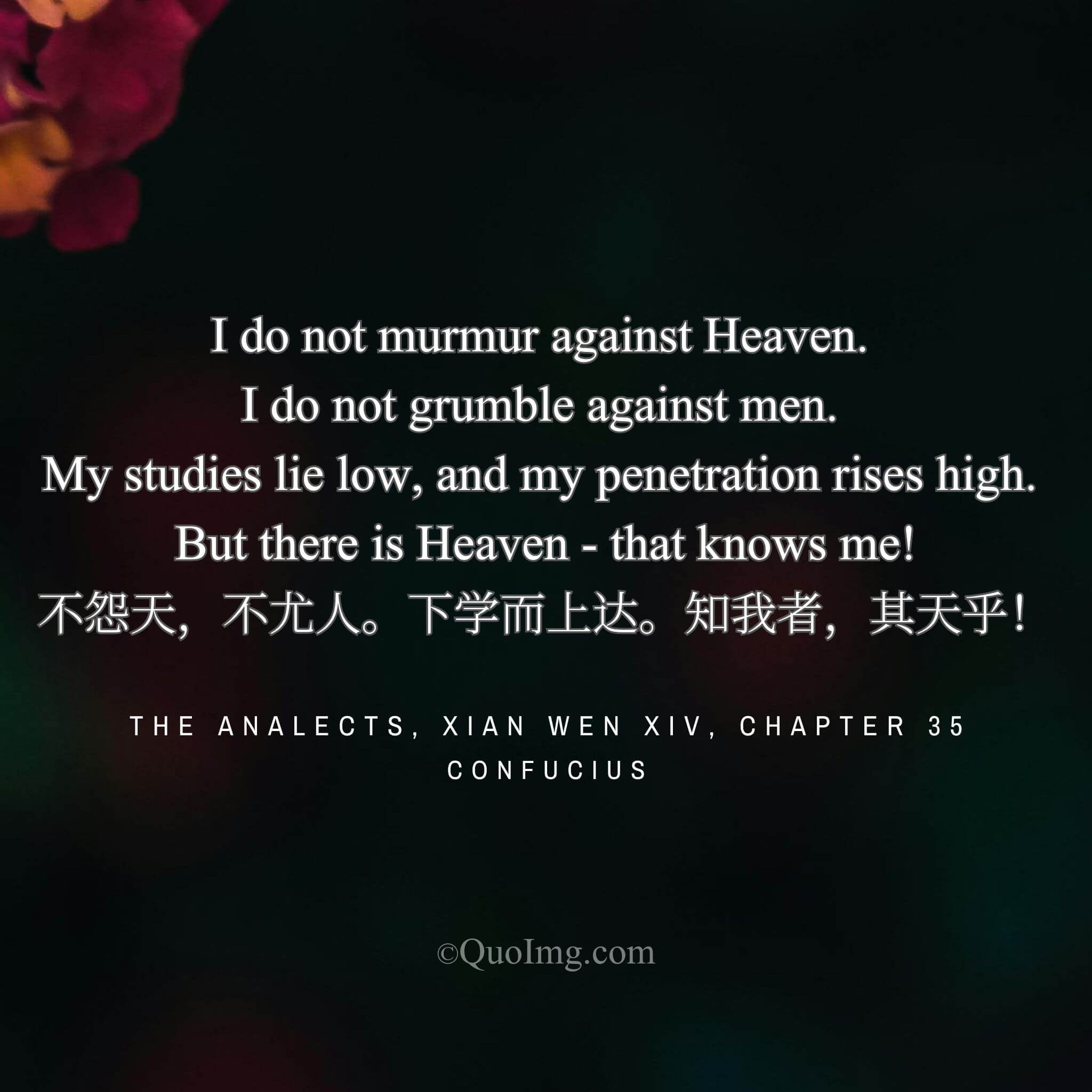 The Master’s Summation: “No Complaint Against Heaven or Men, Learning Low to Penetrate High, Known Only by Heaven”